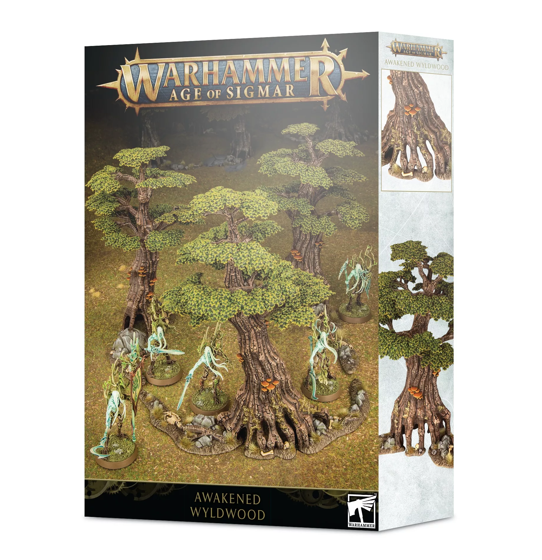 Age Of Sigmar Sylvaneth : Awakened Wyldwood