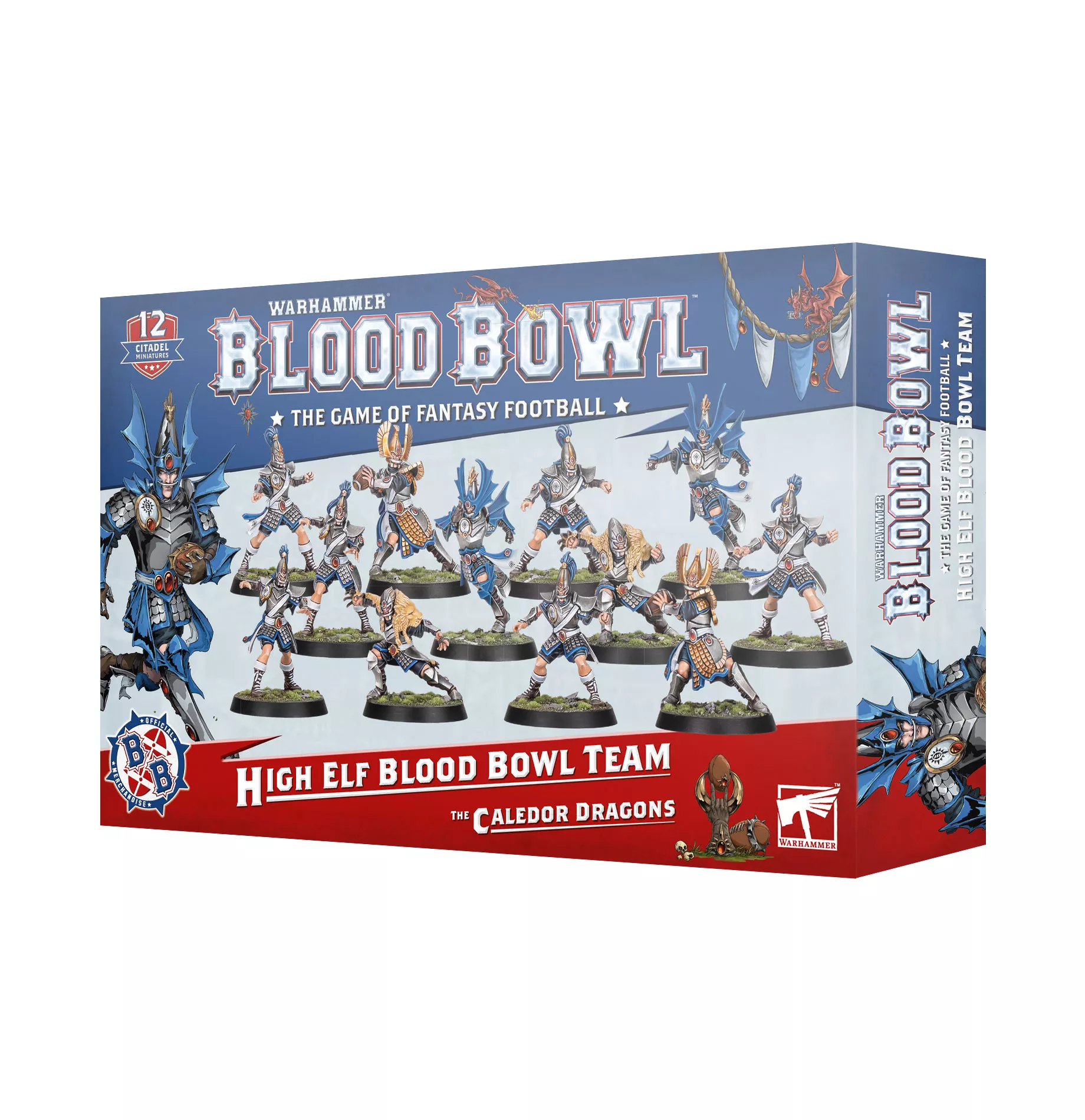 Warhammer Blood Bowl : High Elf team