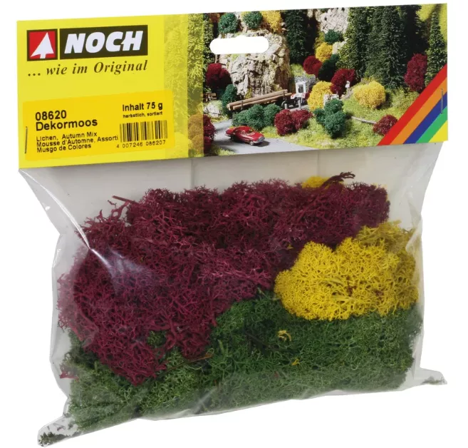 Noch 08620 Mousse d'Automne : Assortiment