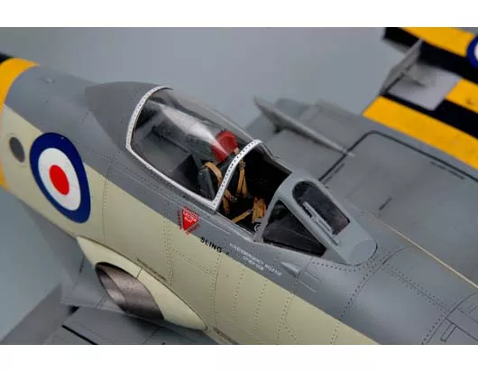 Trumpeter 02820 1:48 Westland Wyvern S.4 (Late)
