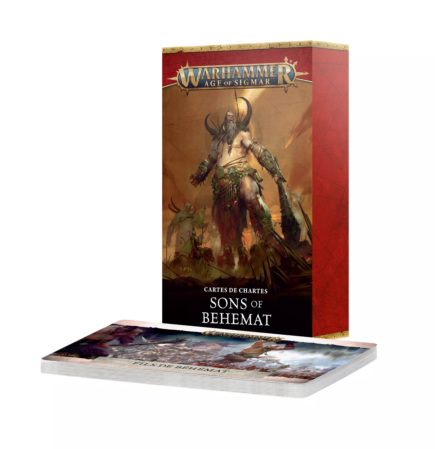 Warhammer Age Of Sigmar : Cartes De Chartes Sons Of Behemat (FR)